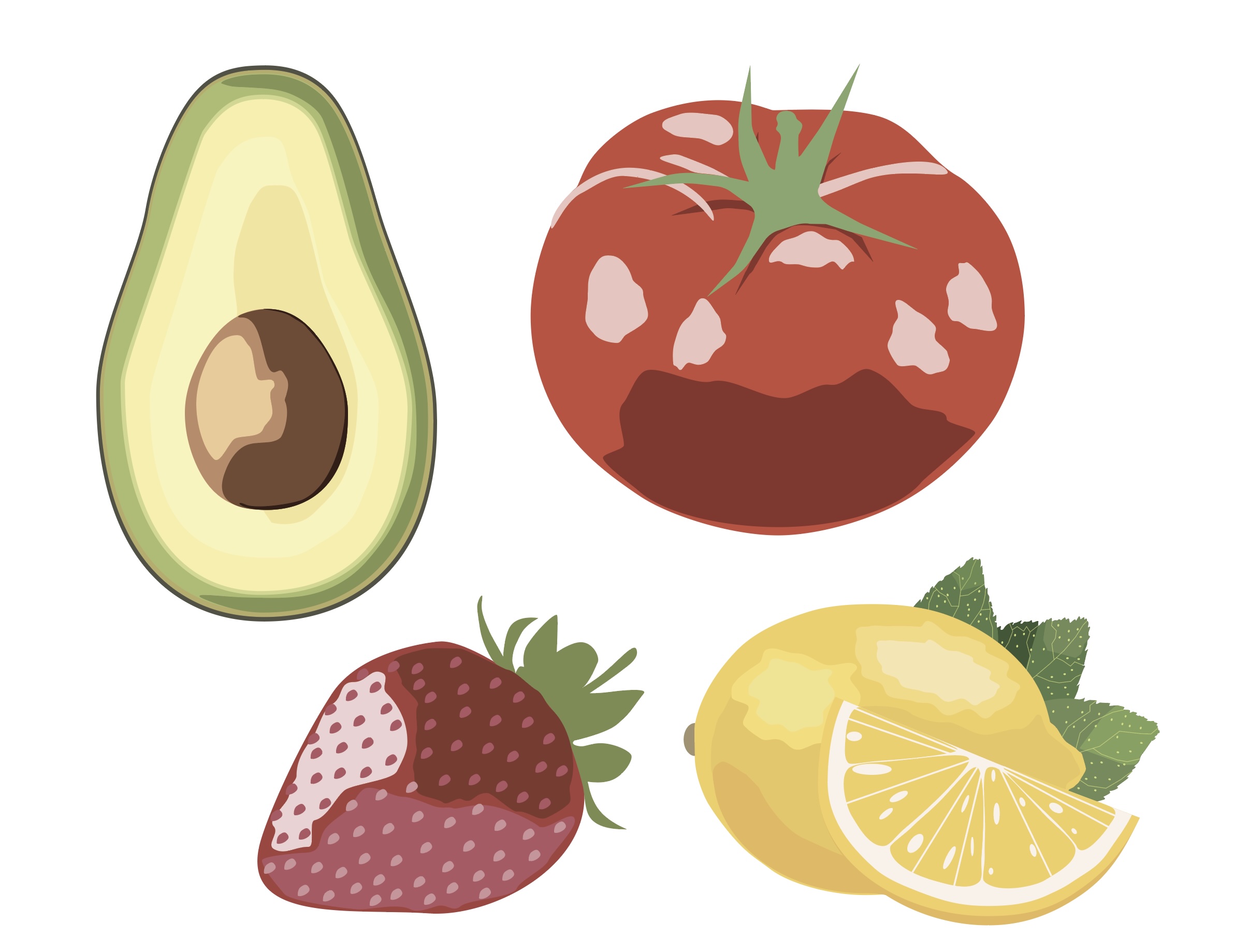 Fruits Illustration